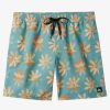 Mens Quiksilver Boardshorts | Re-Mix 17" Volleys Cameo Blue