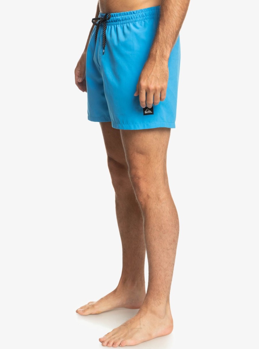 Mens Quiksilver Elastic Waist | Everyday 15" Volleys Blithe