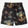 Mens Quiksilver Boardshorts | Boy'S 8-16 Everyday Mix 12" Volleys Black