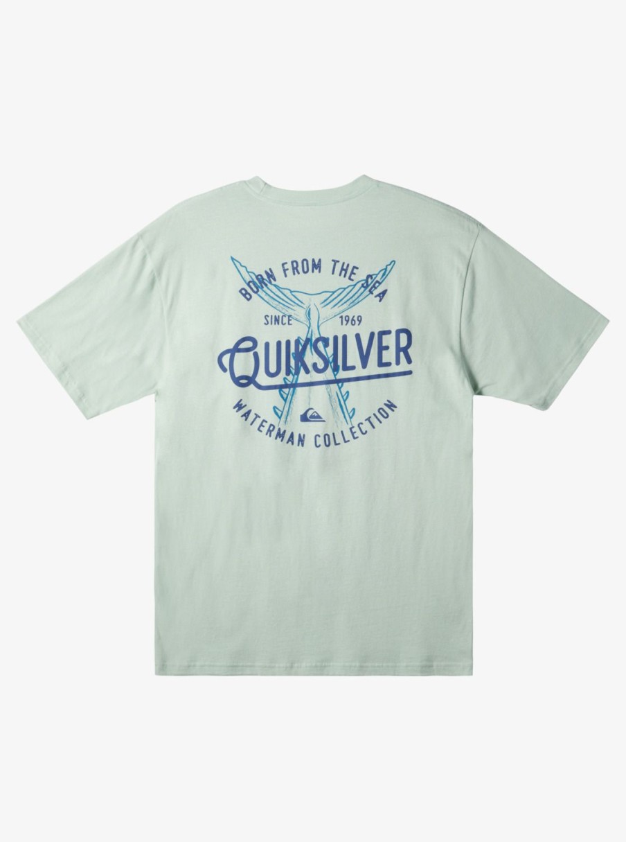 Waterman Quiksilver | Waterman Tails Up T-Shirt Subtle Green