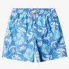 Mens Quiksilver Elastic Waist | Waterman Big Charmer Volleys Directoire Blue Vly Big Charm