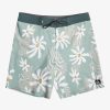 Mens Quiksilver Boardshorts | Surfsilk 69 18" Boardshorts Iceberg Green