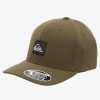 Mens Quiksilver Hats | Adapted Flexfit Hat Four Leaf Clover