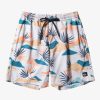 Mens Quiksilver Boardshorts | Everyday Mix 17" Volleys Birch