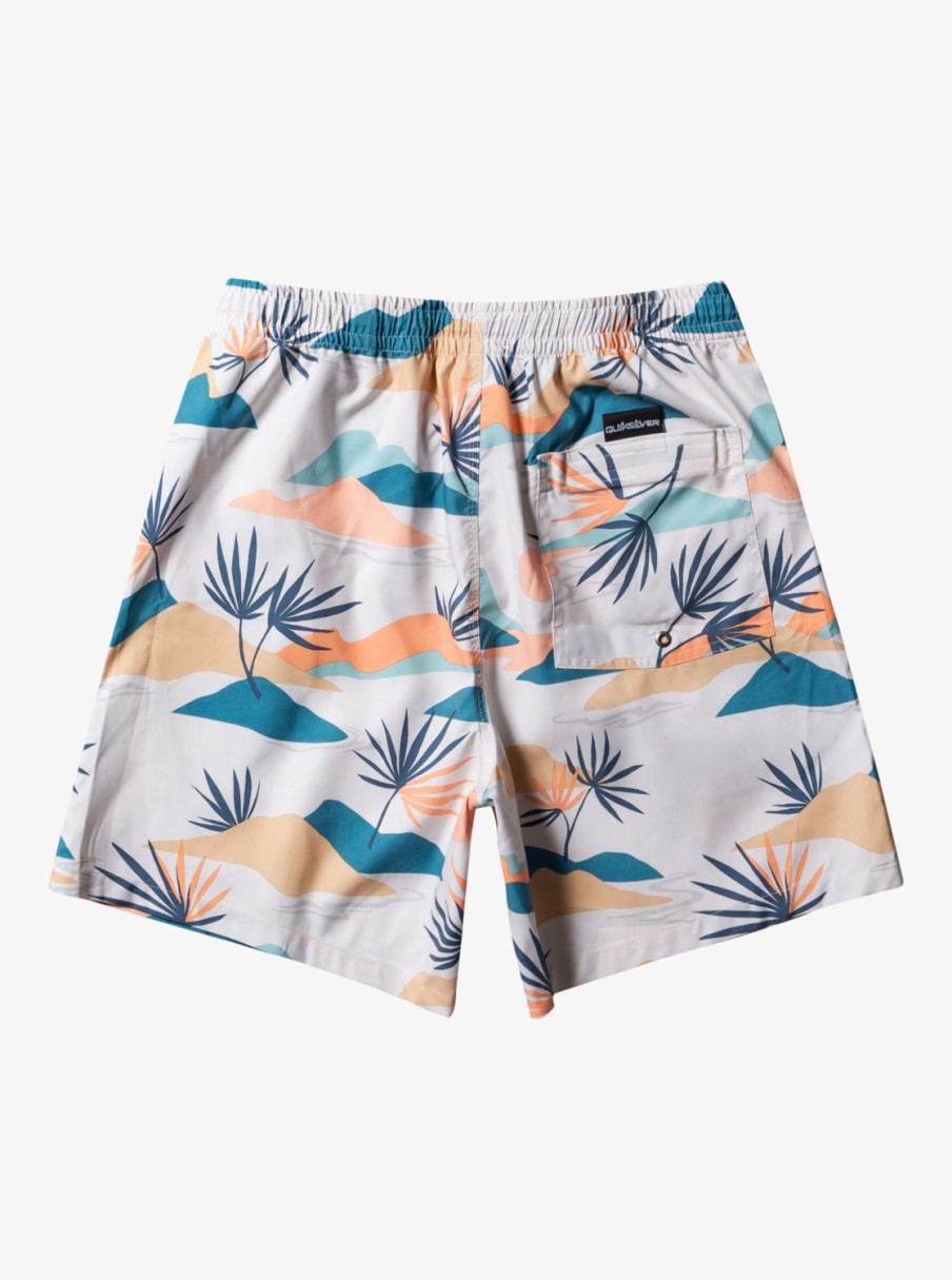 Mens Quiksilver Boardshorts | Everyday Mix 17" Volleys Birch