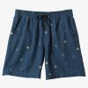 Mens Quiksilver Boardshorts | Taxer Print 18" Amphibian Boardshorts Bering Sea